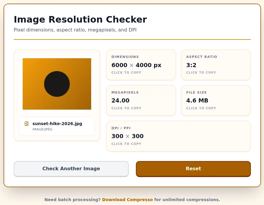 The results view after dropping in a photo: pixel dimensions, aspect ratio, megapixels, file size, and DPI in separate cards